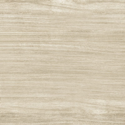Gỗ White Oak là gì? Đặc điểm, ứng dụng và cách chọn nguồn hàng
